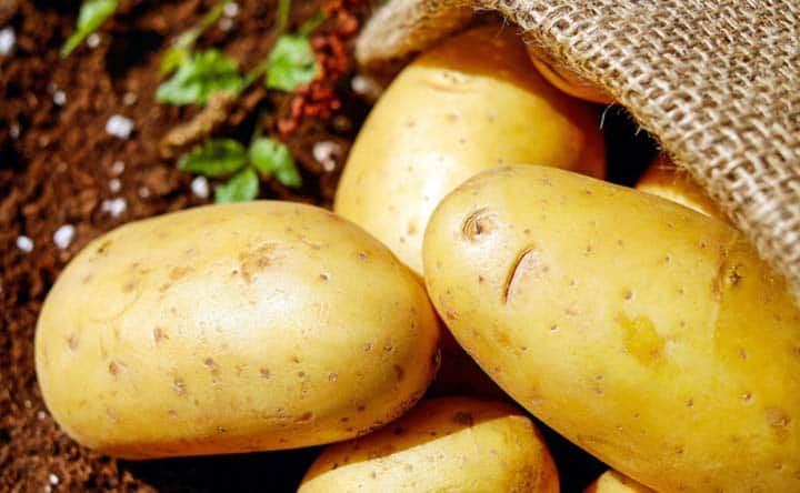 Glicemia e dieta: le patate si possono mangiare?